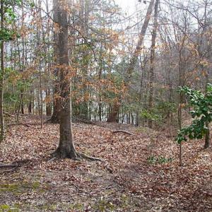 Photo of SOLD!!  49 Acres Overlooking Little Creek Reservoir in James City Co VA!