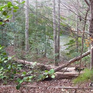 Photo of SOLD!!  49 Acres Overlooking Little Creek Reservoir in James City Co VA!