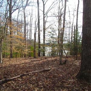 Photo of SOLD!!  49 Acres Overlooking Little Creek Reservoir in James City Co VA!