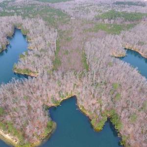 Photo of SOLD!!  49 Acres Overlooking Little Creek Reservoir in James City Co VA!