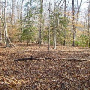 Photo of SOLD!!  49 Acres Overlooking Little Creek Reservoir in James City Co VA!