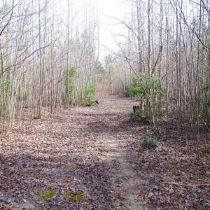 Photo of SOLD!!  49 Acres Overlooking Little Creek Reservoir in James City Co VA!