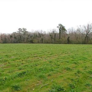 Photo of REDUCED!  65 Acre Working Farm For Sale in Accomack County VA!