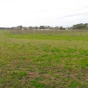 Photo of REDUCED!  65 Acre Working Farm For Sale in Accomack County VA!