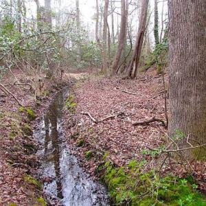 Photo of REDUCED!  65 Acre Working Farm For Sale in Accomack County VA!