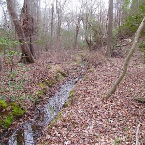 Photo of REDUCED!  65 Acre Working Farm For Sale in Accomack County VA!