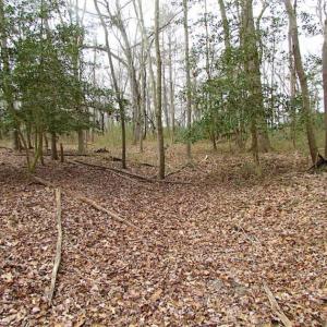 Photo of REDUCED!  65 Acre Working Farm For Sale in Accomack County VA!