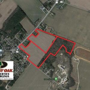 Photo of REDUCED!  65 Acre Working Farm For Sale in Accomack County VA!