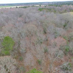 Photo of REDUCED!  65 Acre Working Farm For Sale in Accomack County VA!