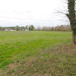 Photo of REDUCED!  65 Acre Working Farm For Sale in Accomack County VA!