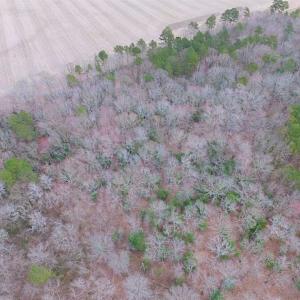 Photo of REDUCED!  65 Acre Working Farm For Sale in Accomack County VA!