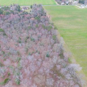 Photo of REDUCED!  65 Acre Working Farm For Sale in Accomack County VA!