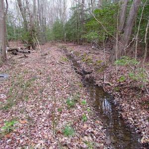 Photo of REDUCED!  65 Acre Working Farm For Sale in Accomack County VA!