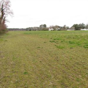 Photo of REDUCED!  65 Acre Working Farm For Sale in Accomack County VA!
