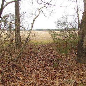 Photo of REDUCED!  65 Acre Working Farm For Sale in Accomack County VA!