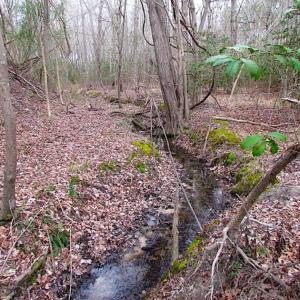 Photo of REDUCED!  65 Acre Working Farm For Sale in Accomack County VA!