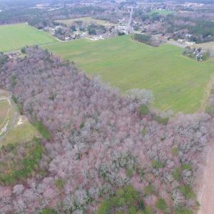 Photo of REDUCED!  65 Acre Working Farm For Sale in Accomack County VA!