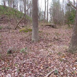Photo of REDUCED!  65 Acre Working Farm For Sale in Accomack County VA!