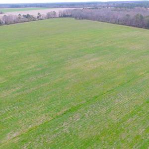 Photo of REDUCED!  65 Acre Working Farm For Sale in Accomack County VA!