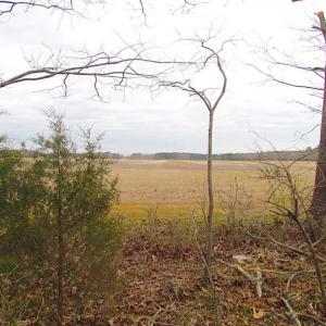 Photo of REDUCED!  65 Acre Working Farm For Sale in Accomack County VA!