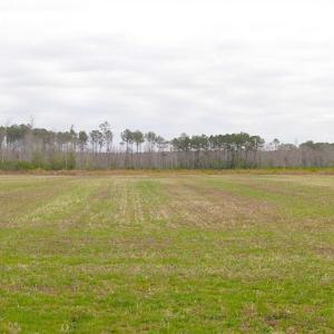 Photo of SOLD!! 63 Acre Working Farm For Sale in Accomack County VA!