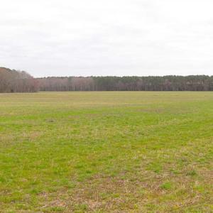 Photo of SOLD!! 63 Acre Working Farm For Sale in Accomack County VA!