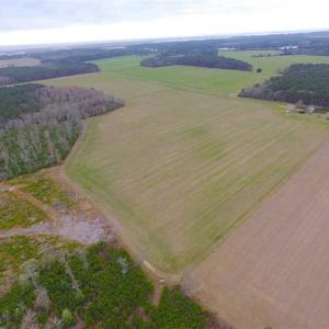 Photo of SOLD!! 63 Acre Working Farm For Sale in Accomack County VA!