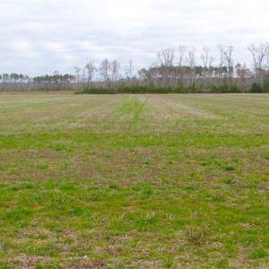 Photo of SOLD!! 63 Acre Working Farm For Sale in Accomack County VA!