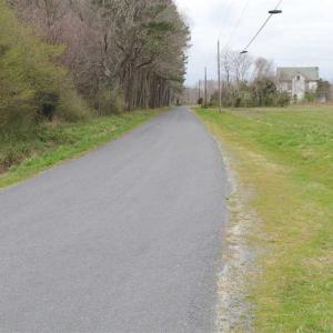 Photo of SOLD!! 63 Acre Working Farm For Sale in Accomack County VA!