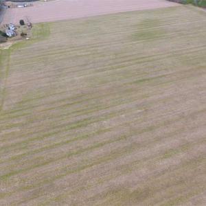 Photo of SOLD!! 63 Acre Working Farm For Sale in Accomack County VA!