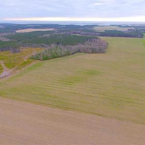 Photo of SOLD!! 63 Acre Working Farm For Sale in Accomack County VA!