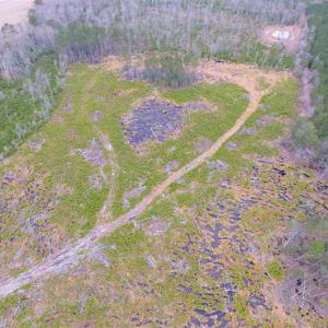 Photo of SOLD!! 63 Acre Working Farm For Sale in Accomack County VA!