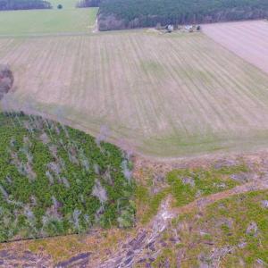 Photo of SOLD!! 63 Acre Working Farm For Sale in Accomack County VA!
