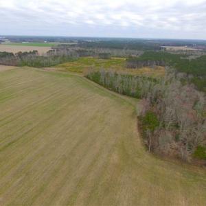 Photo of SOLD!! 63 Acre Working Farm For Sale in Accomack County VA!