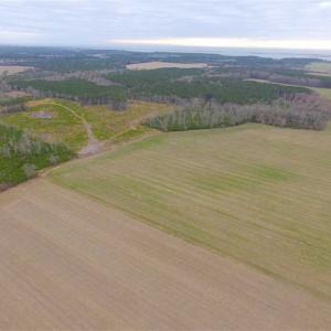 Photo of SOLD!! 63 Acre Working Farm For Sale in Accomack County VA!