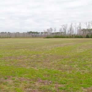 Photo of SOLD!! 63 Acre Working Farm For Sale in Accomack County VA!