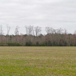 Photo of SOLD!! 63 Acre Working Farm For Sale in Accomack County VA!