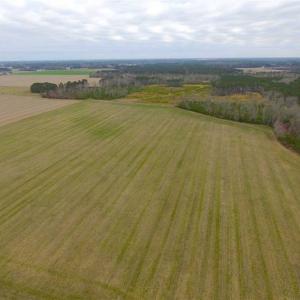 Photo of SOLD!! 63 Acre Working Farm For Sale in Accomack County VA!