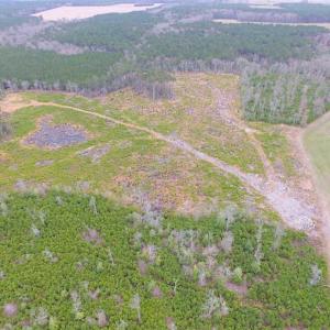 Photo of SOLD!! 63 Acre Working Farm For Sale in Accomack County VA!