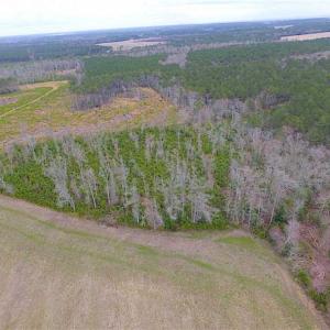 Photo of SOLD!! 63 Acre Working Farm For Sale in Accomack County VA!