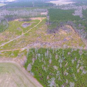 Photo of SOLD!! 63 Acre Working Farm For Sale in Accomack County VA!
