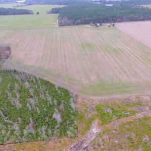 Photo of SOLD!! 63 Acre Working Farm For Sale in Accomack County VA!