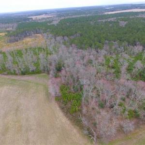 Photo of SOLD!! 63 Acre Working Farm For Sale in Accomack County VA!