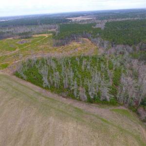 Photo of SOLD!! 63 Acre Working Farm For Sale in Accomack County VA!