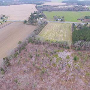 Photo of SOLD!!  20 Acres of  Farm and Timber Land For Sale in Accomack County VA!