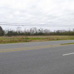 Photo of SOLD!!  20 Acres of  Farm and Timber Land For Sale in Accomack County VA!
