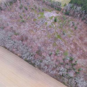 Photo of SOLD!!  20 Acres of  Farm and Timber Land For Sale in Accomack County VA!