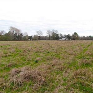 Photo of SOLD!!  20 Acres of  Farm and Timber Land For Sale in Accomack County VA!