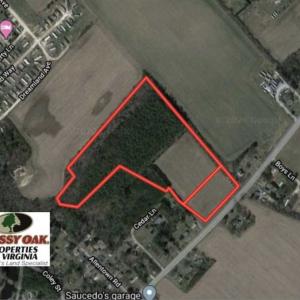 Photo of SOLD!!  20 Acres of  Farm and Timber Land For Sale in Accomack County VA!