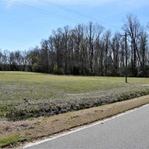 Photo of SOLD!!  26 Acres of Farm and Timber Land For Sale in Pitt County NC!